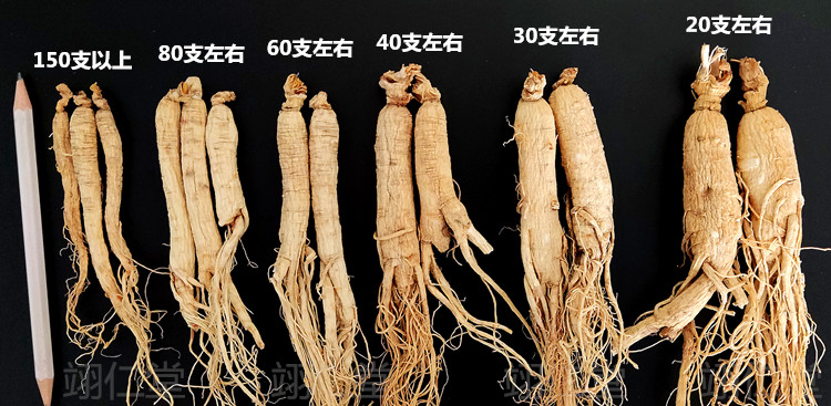 2千年人参多少钱_血人参价格是多少钱一斤_人参和人参须功效一样吗