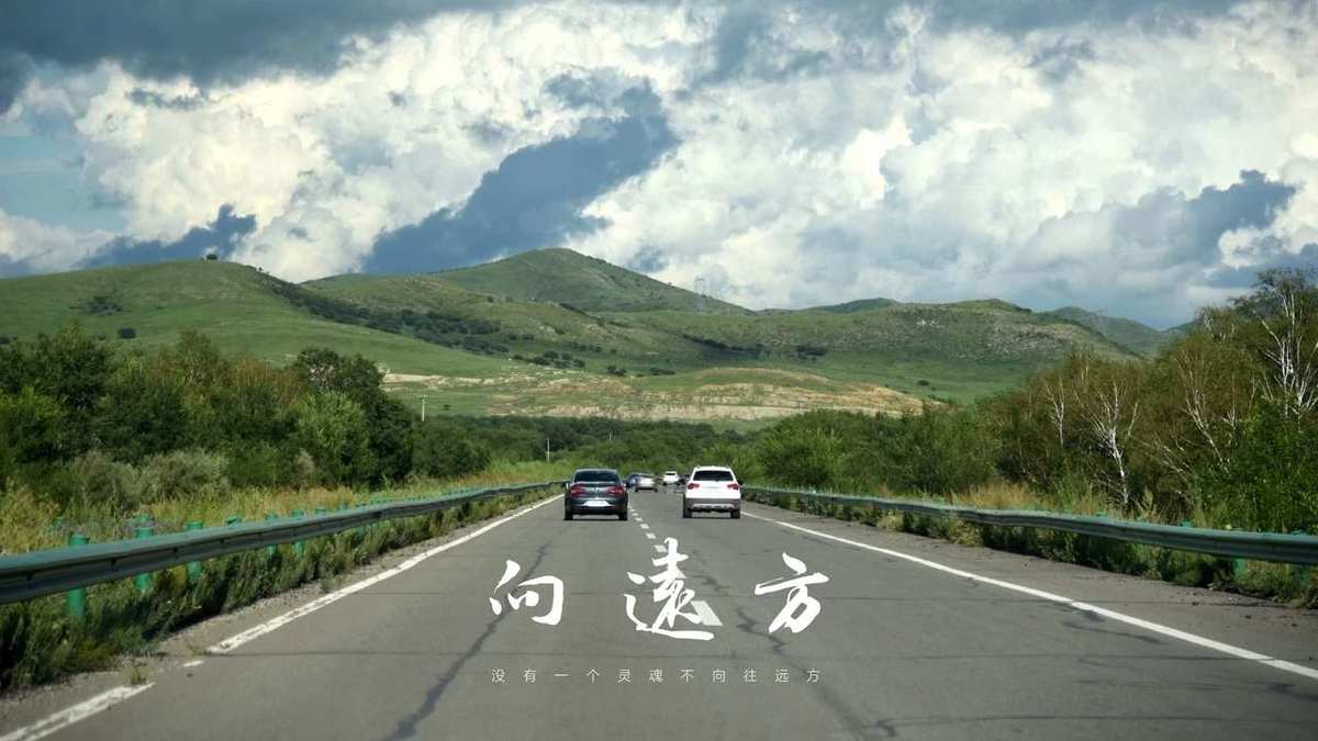 dhp_dhp什么意思