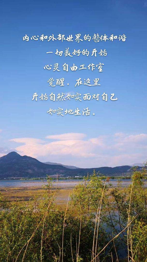 dhp什么意思_dhp