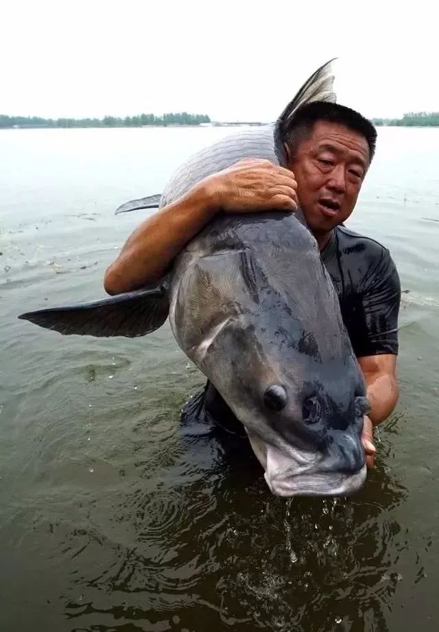 大海钓鱼视频直播全集_大海钓大鱼视频_海钓大鱼视频