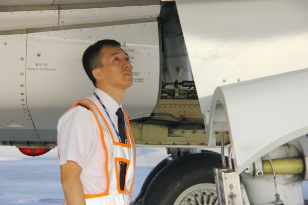 饥饿游戏职业贡品_饥饿游戏贡品实力排行_饥饿游戏职业选手