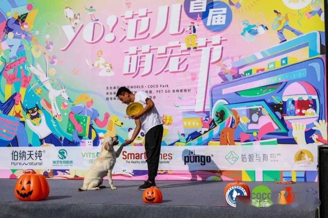 qq宠物游戏下载一_qq宠物怎么下载_手机版qq宠物下载安装