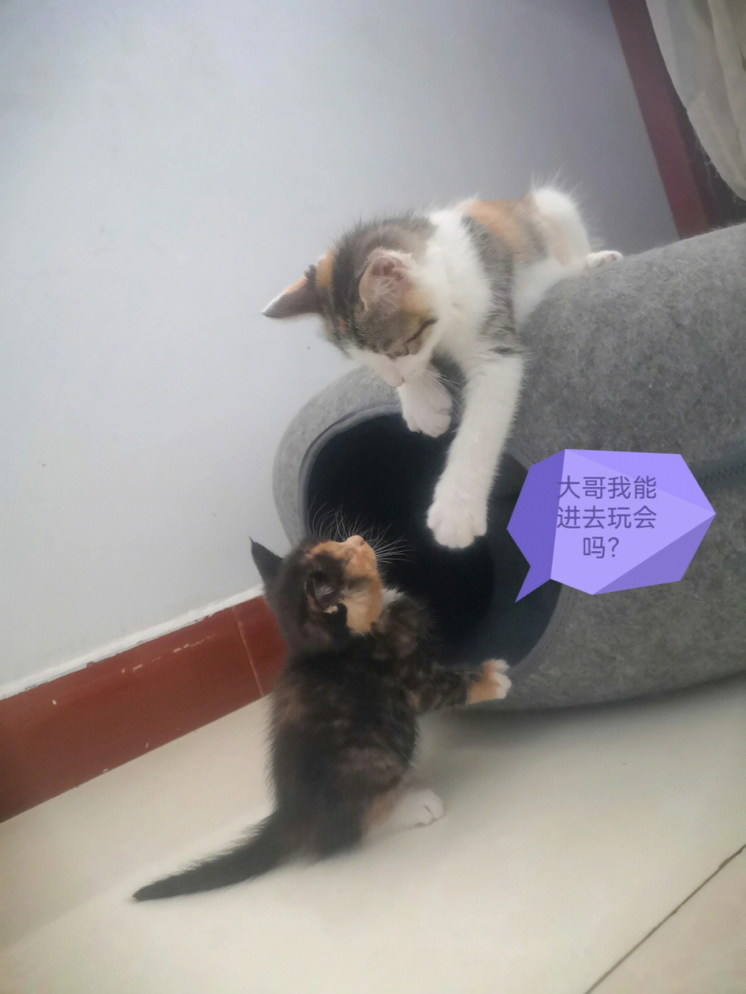 晚会节目游戏串词_晚会串词游戏教案_晚会游戏串词