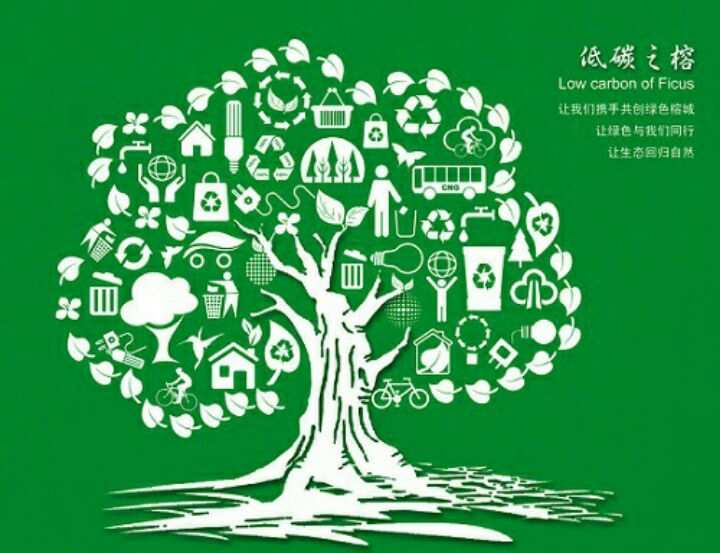 绿色心愿环保卡图片_绿色环保心愿卡怎么写_环保心愿卡制作