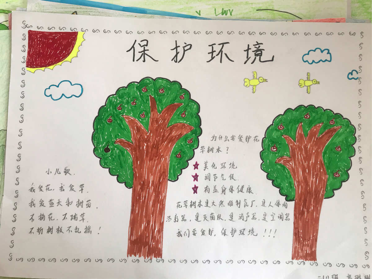 绿色环保心愿卡怎么写_绿色心愿环保卡图片_环保心愿卡制作