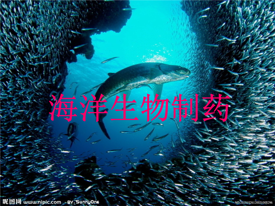 人面鱼seaman下载_seaman 游戏_seaman是什么意思