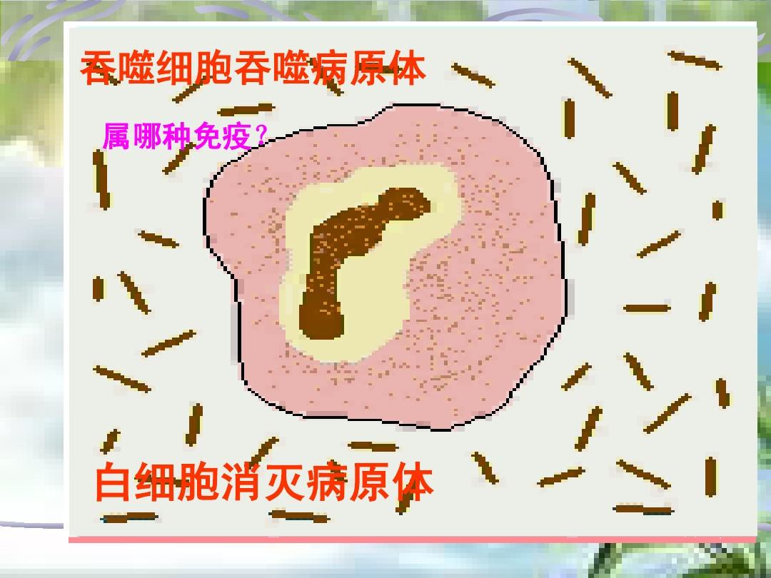 吞噬细胞游戏翻滚键是哪个_细胞吞噬游戏_吞噬细胞游戏视频