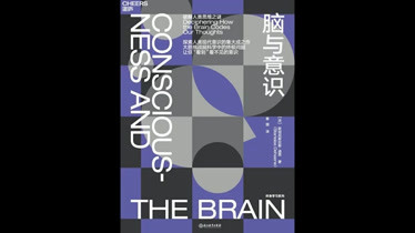 猜字谜所有的游戏_谜语猜字游戏_猜字谜游戏谜语大全