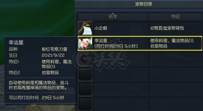 斗战神宠物开6洞技巧_斗战神宠物开孔技巧_斗战神宠物开洞视频