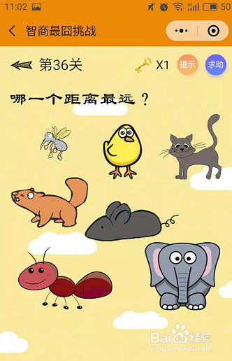 测试智力游戏_测试智力的游戏_测智商的游戏