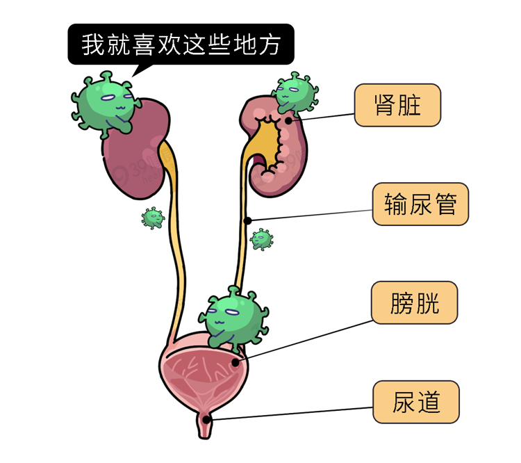尿刺痛尿频尿急怎么办_尿频尿急尿刺痛_尿道刺痛尿频尿急灼热