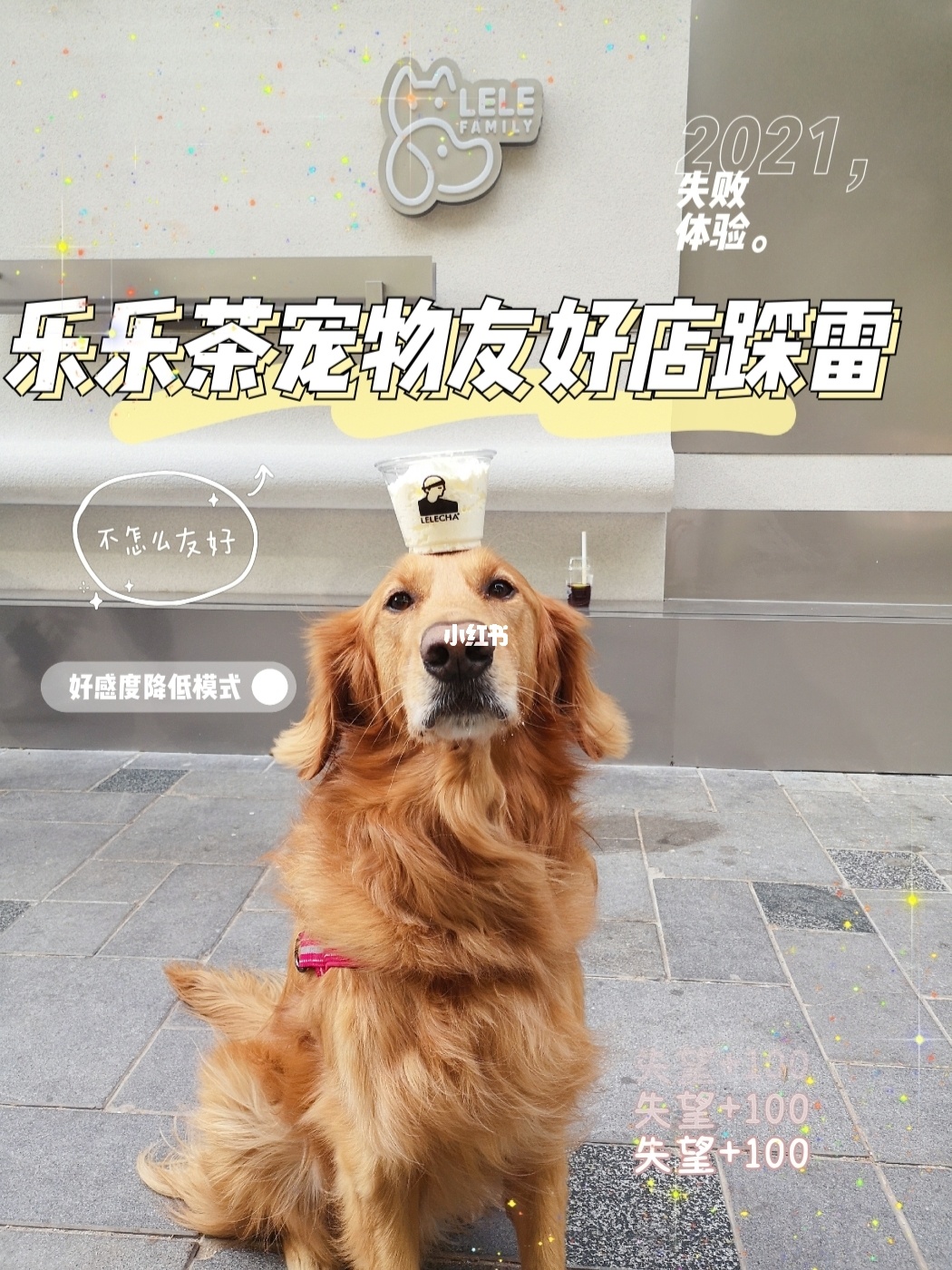 中国最好的宠物网站_宠物网官网_中国宠物网