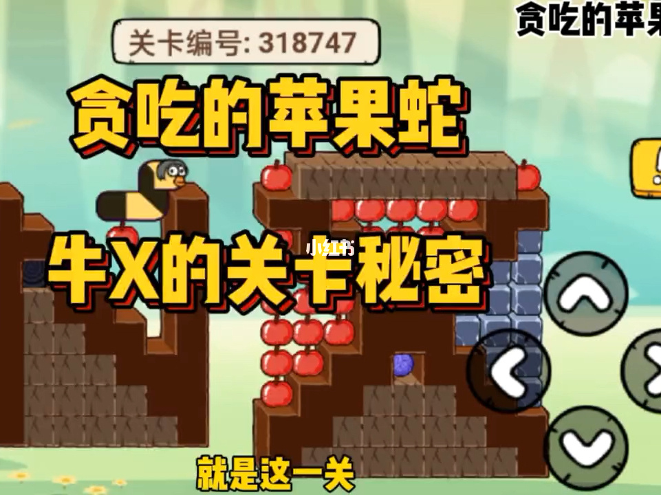 贪吃蛇游戏程序设计_贪吃蛇单片机程序_用vc编写的贪吃蛇程序