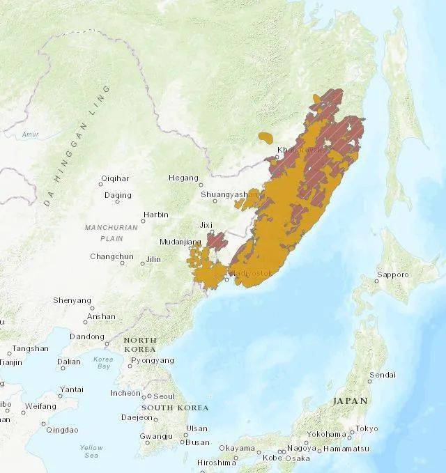 老虎地图_老虎地图被哪个替代了_老虎地图最新版下载