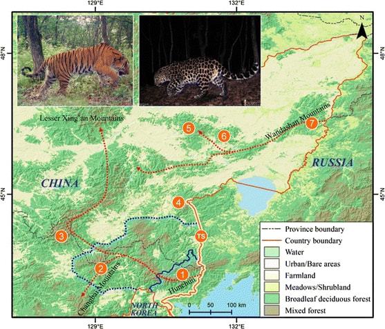 老虎地图最新版下载_老虎地图被哪个替代了_老虎地图