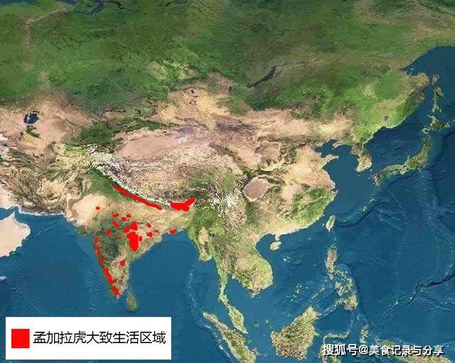 老虎地图被哪个替代了_老虎地图_老虎地图最新版下载