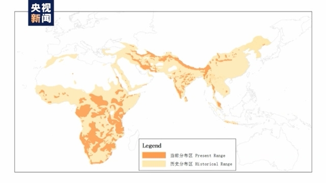 老虎地图被哪个替代了_老虎地图_老虎地图最新版下载