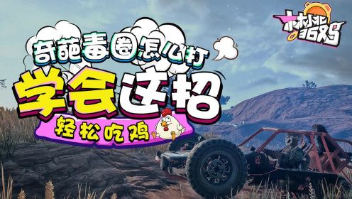国际服吃鸡