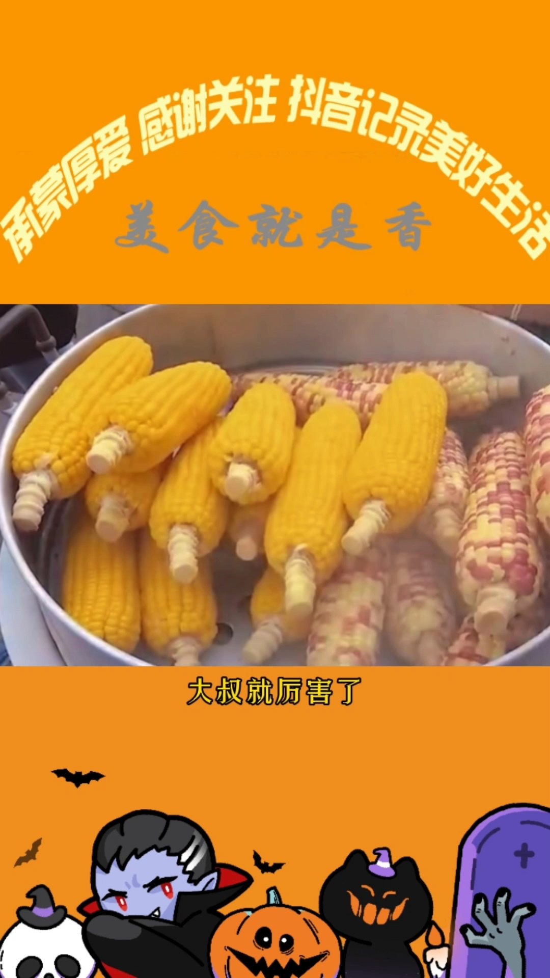 玉米app_玉米投手app_下载玉米app