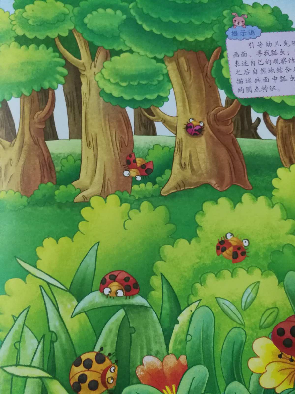 动漫虫虫助手_动漫虫虫图片_虫虫动漫