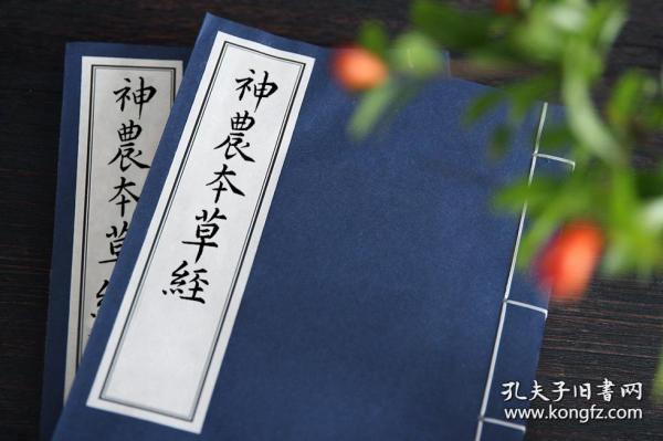 神农百草园_中南百草园_百草园和三味书屋