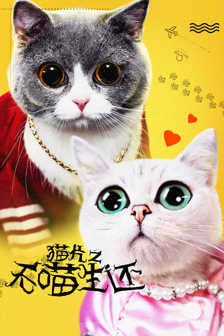 猫咪vip老版本下载_下载老猫app_老猫软件怎么下