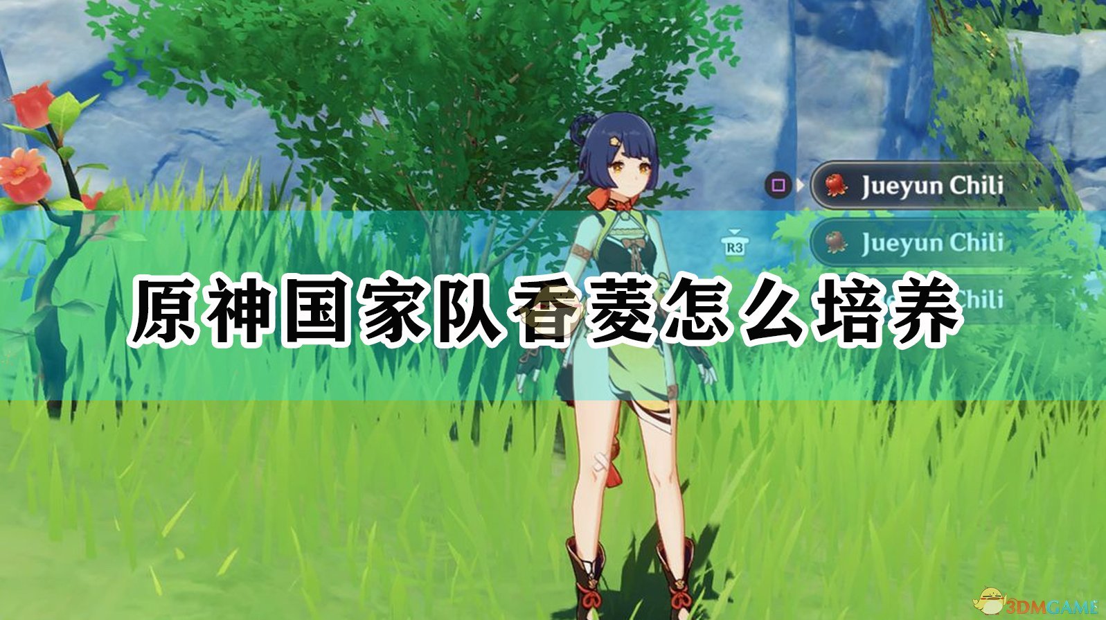 香菱值得练_香菱值得培养么_香菱适合培养吗