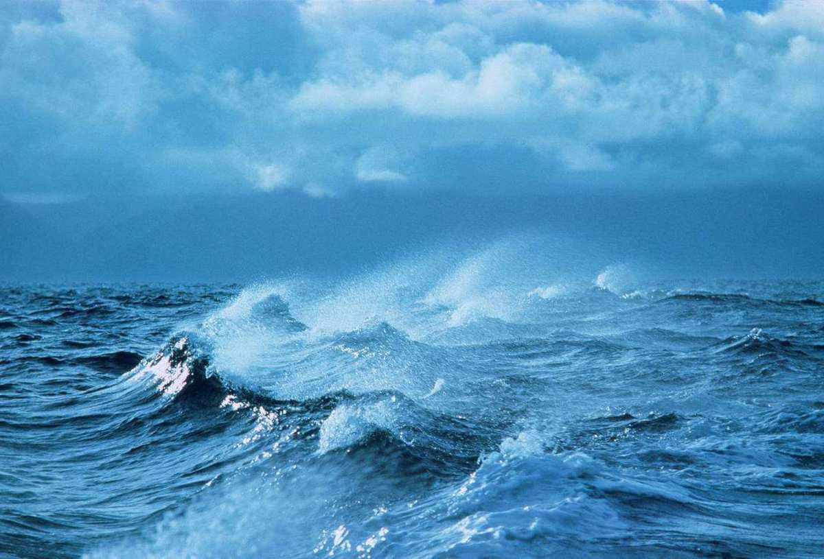 航海日记作文_航海日记2_航海日记