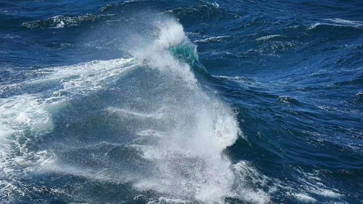 航海日记2_航海日记作文_航海日记