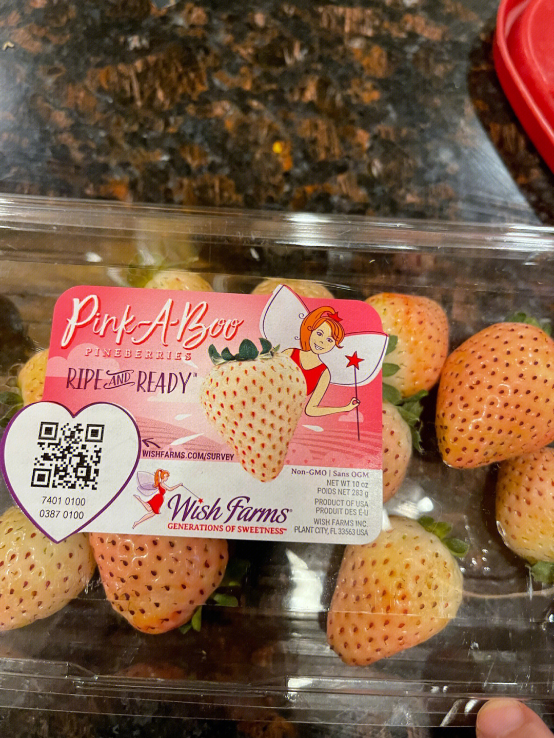 草莓大棚多少钱一亩钢架_大草莓_草莓大全
