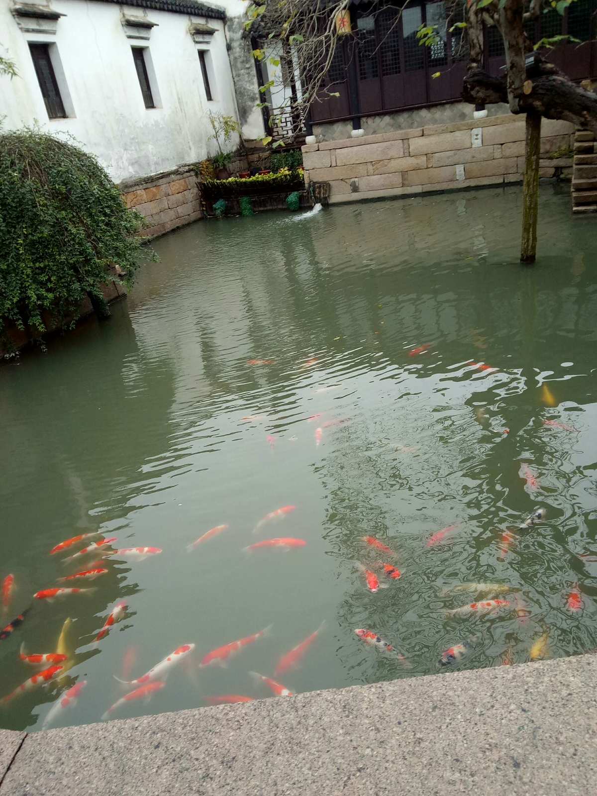 逆水寒金明鱼痴攻略_逆水寒金明鱼痴_逆水寒金明池钓鱼奇遇