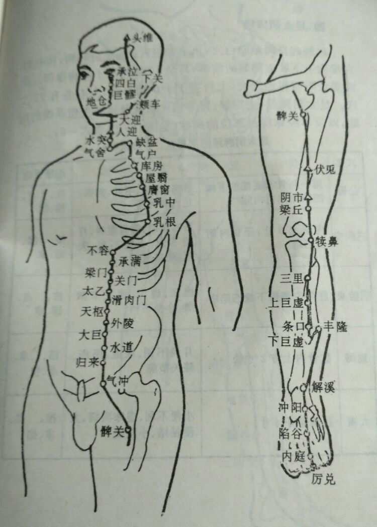 大唐经脉点暴击伤害还是暴击率_大唐经脉怎么点_大唐经脉点修