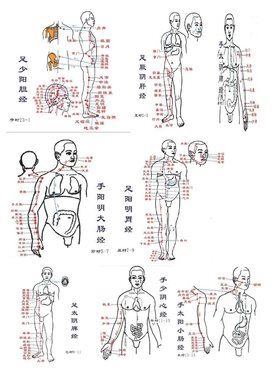 大唐经脉点暴击伤害还是暴击率_大唐经脉点修_大唐经脉怎么点