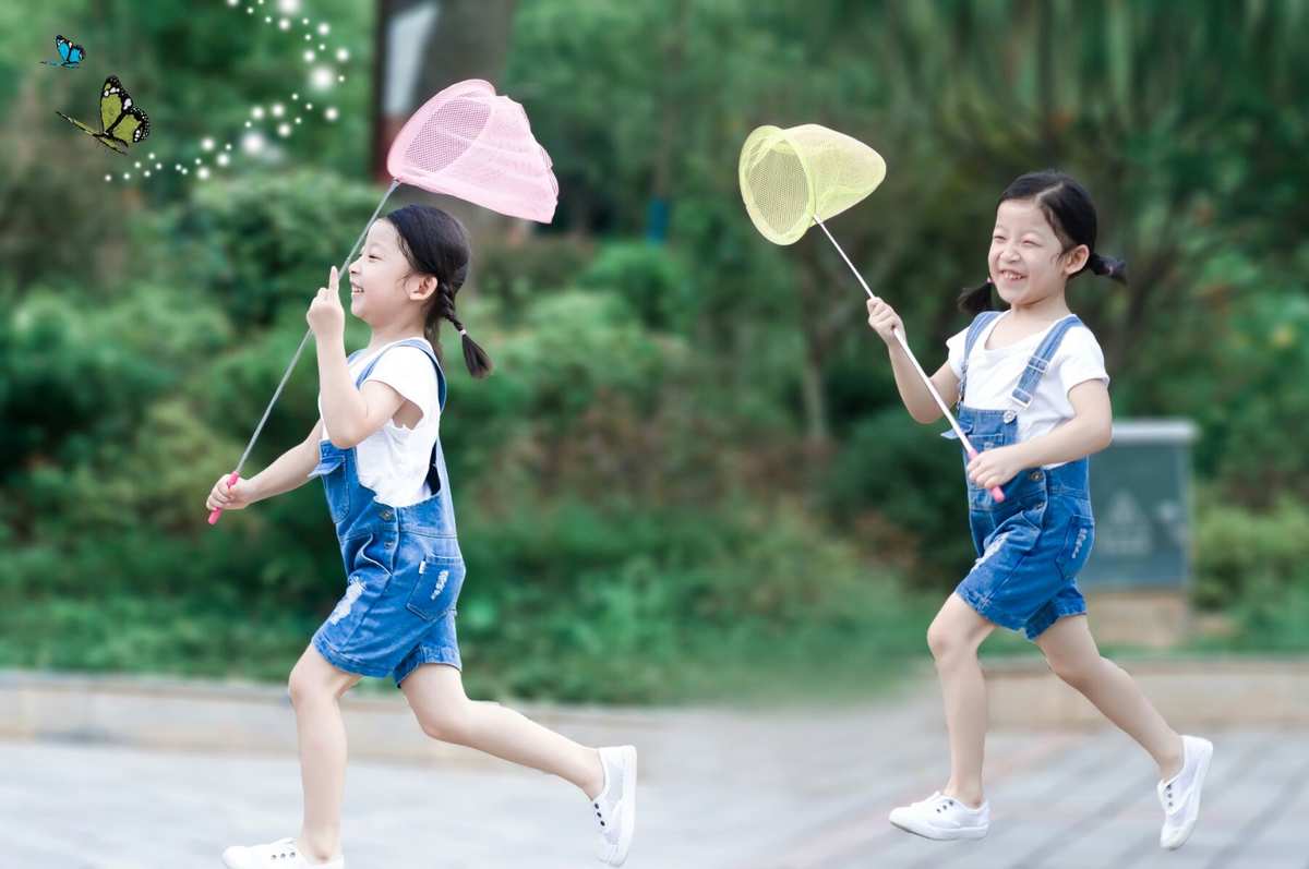 白天独角仙幼虫在哪抓_白天独角仙在哪抓_白天抓独角仙会死吗