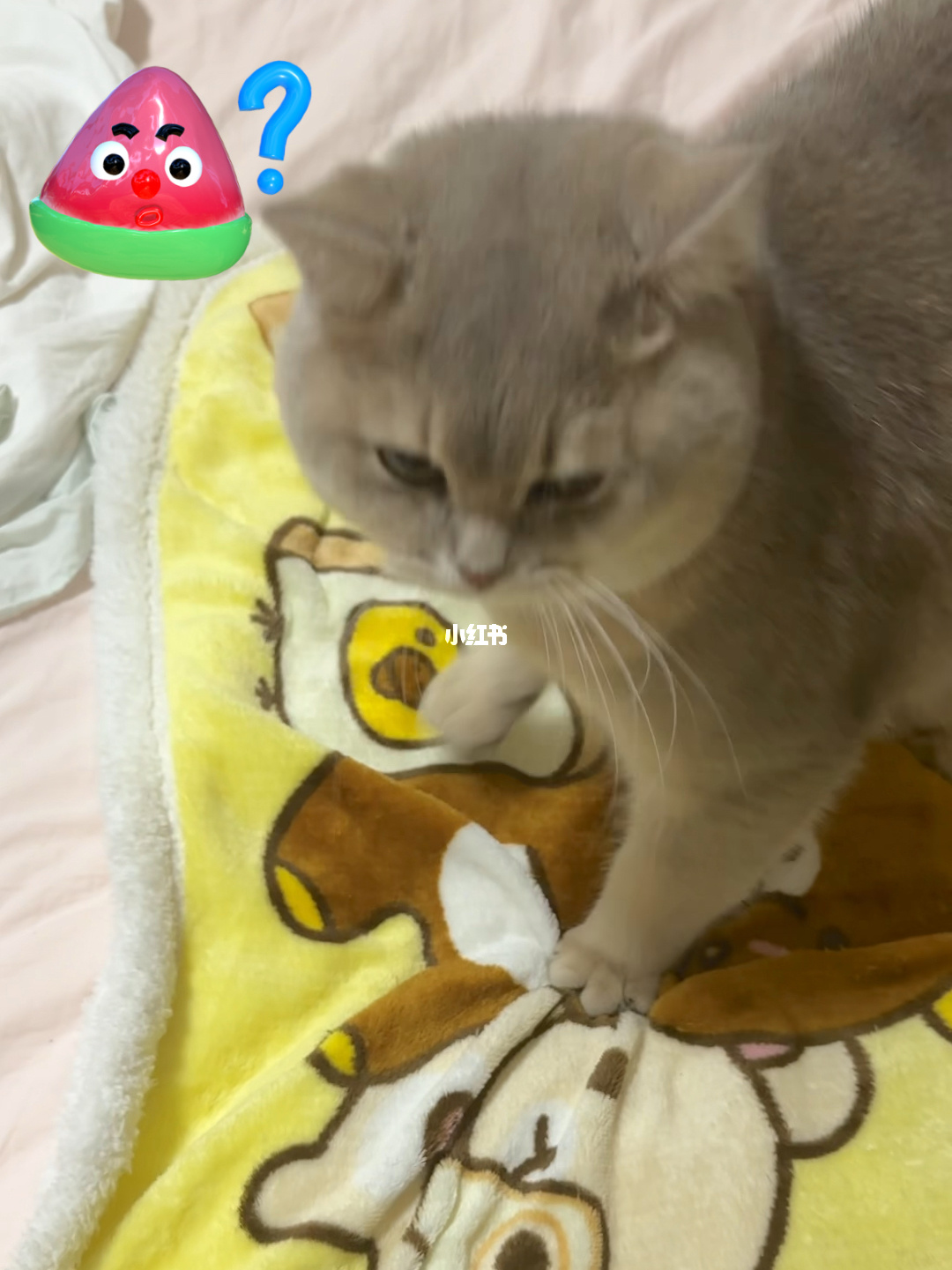 句安_句安怎么读_句安和句扶关系