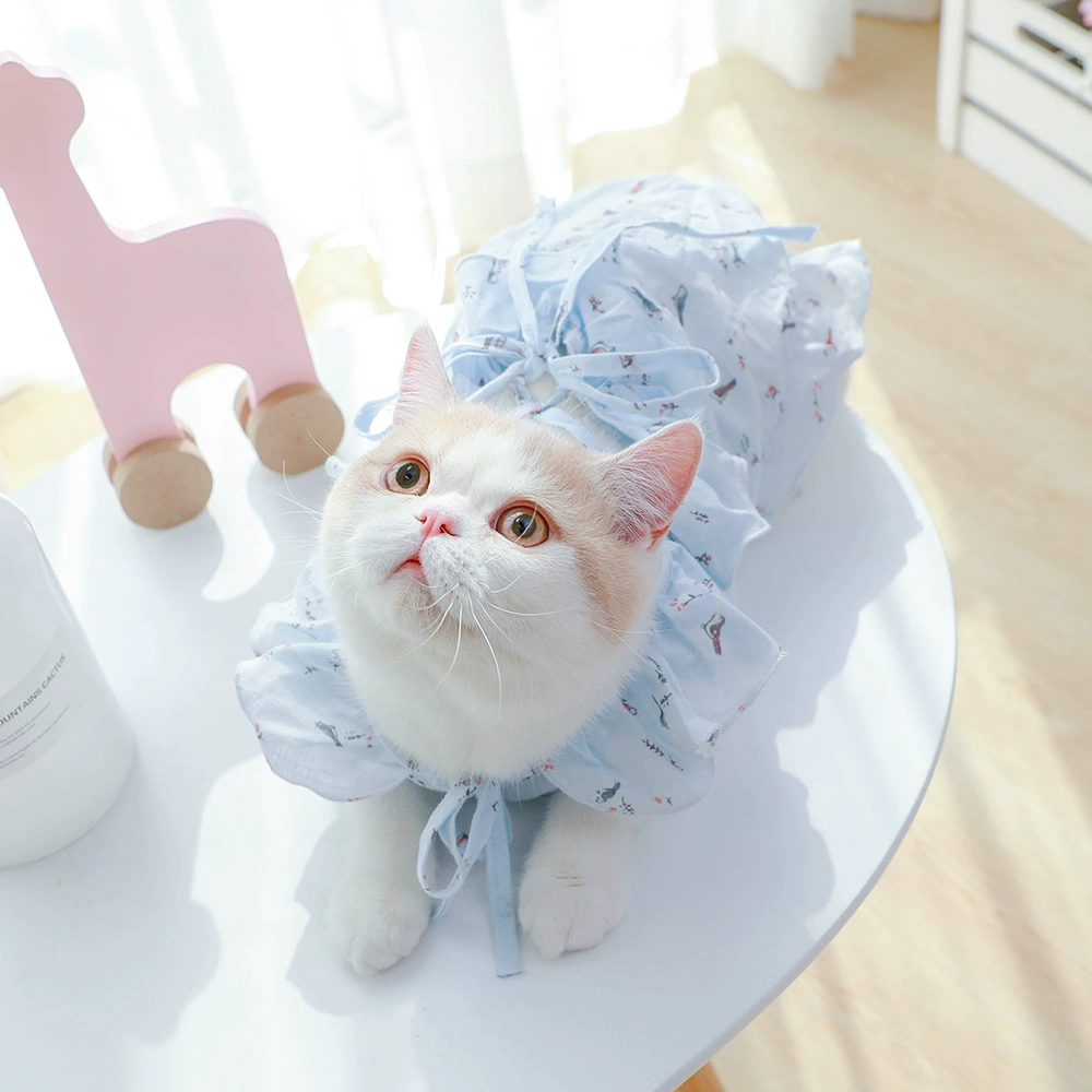 ad猫咪出装_魔法猫咪出装_猫咪出装