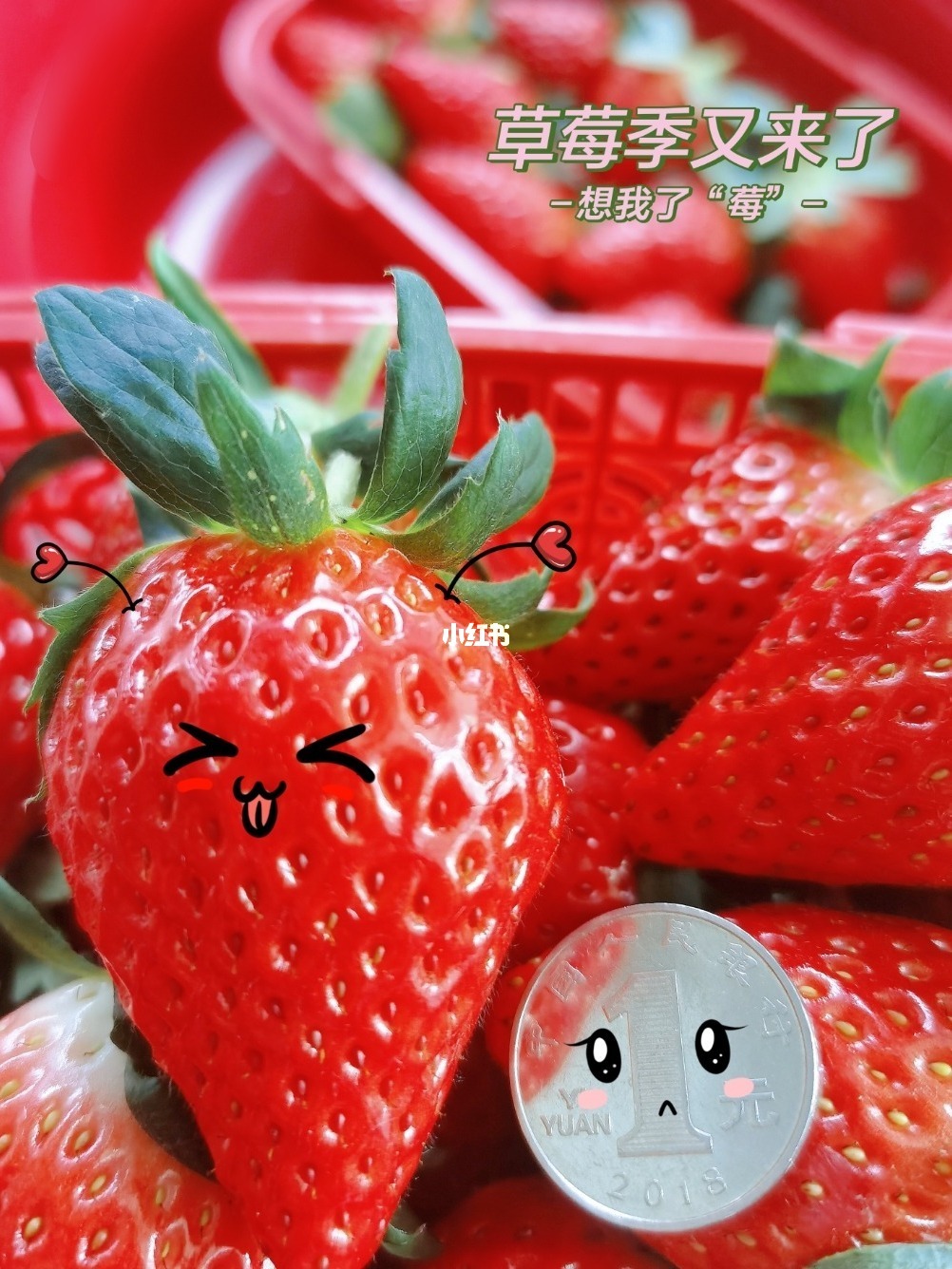 草莓娃娃_娃娃草莓头箍_娃娃草莓舌