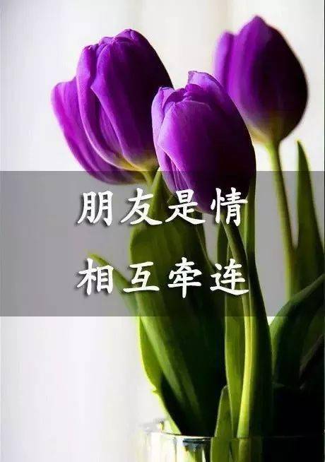 友是什么结构的字体_友的拼音_友您
