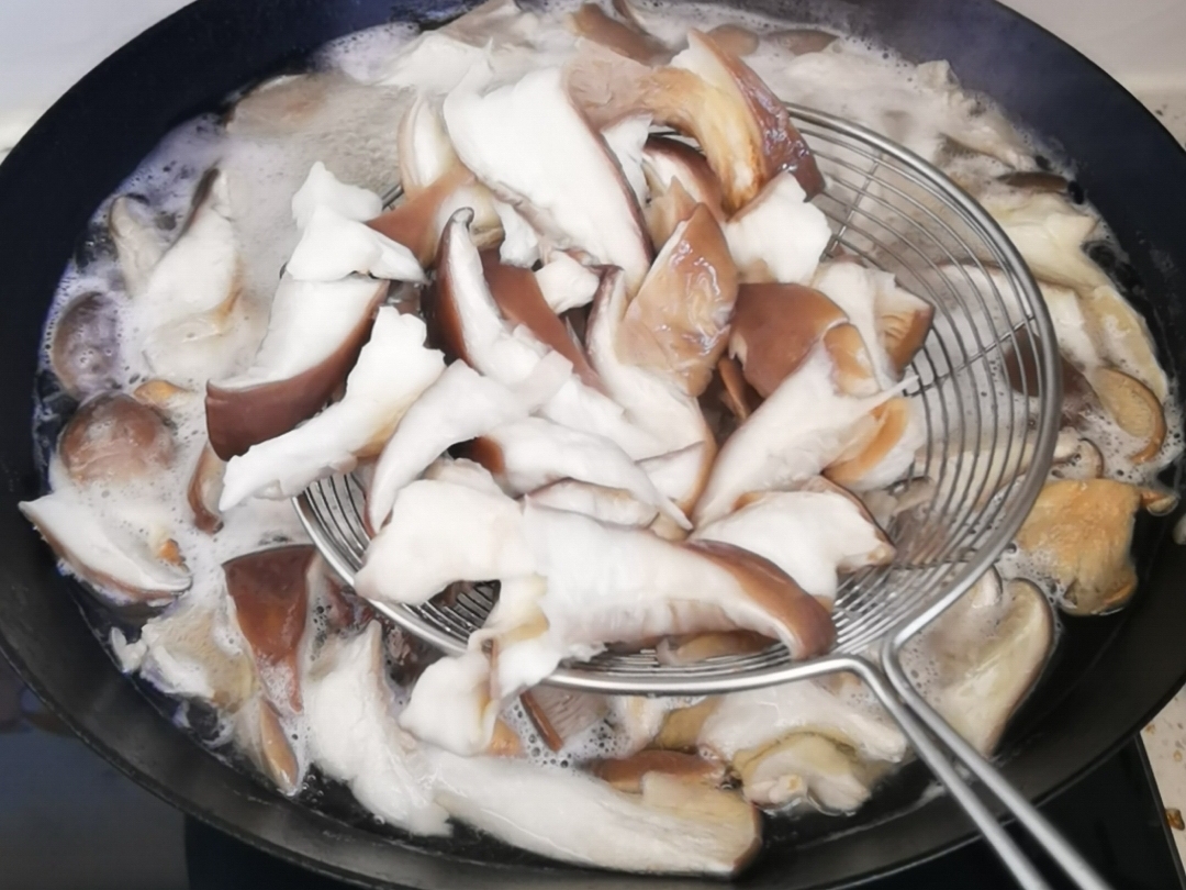 蘑菇云游_五朵蘑菇_蘑菇理论