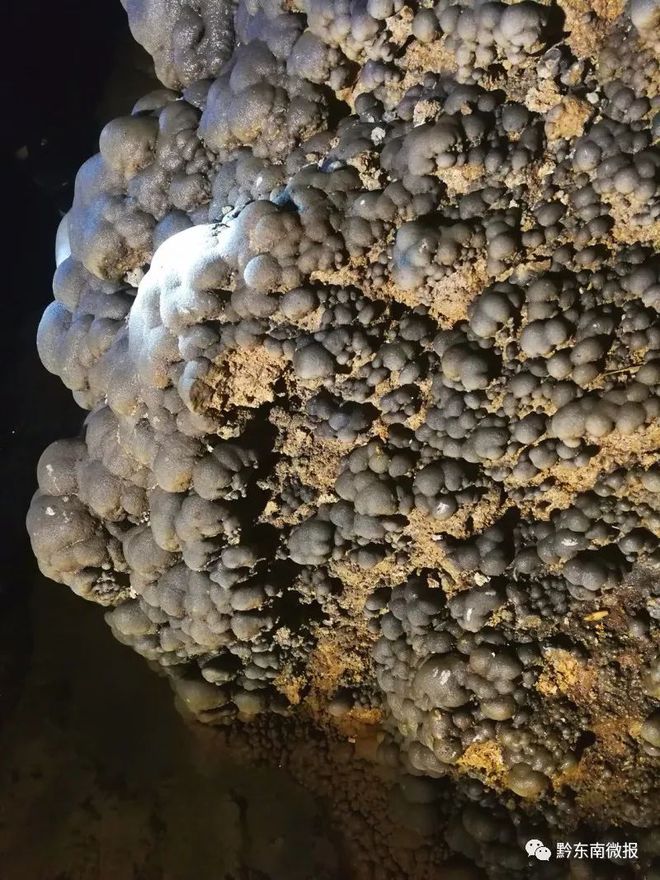 蛇骨矿洞解密视频_蛇骨矿洞蛇头_蛇骨矿洞