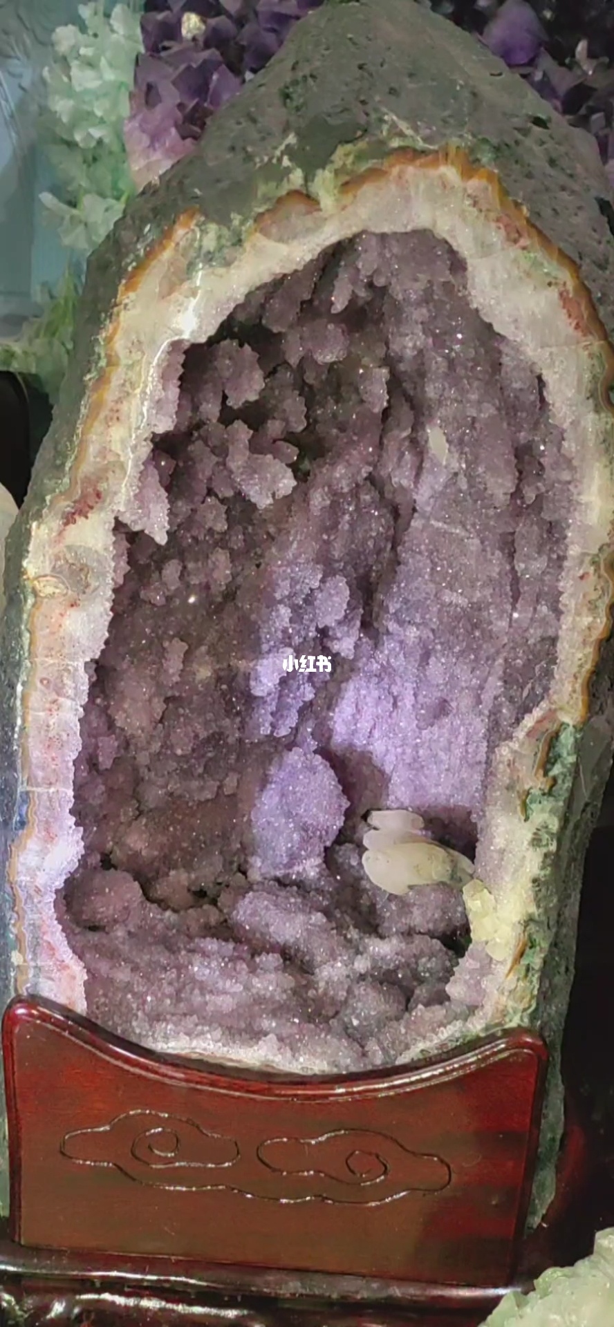蛇骨矿洞解密视频_蛇骨矿洞_蛇骨矿洞蛇头