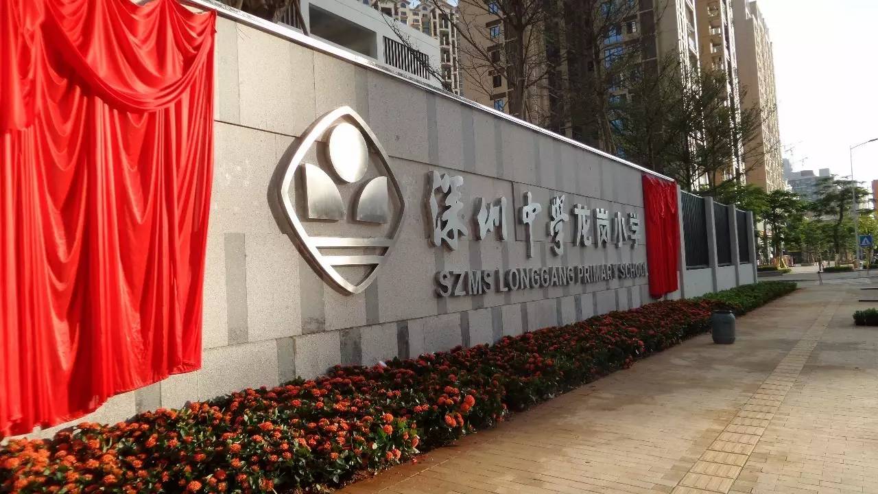 饿龙传说_传说龙_饥饿龙传说宠物怎么获得