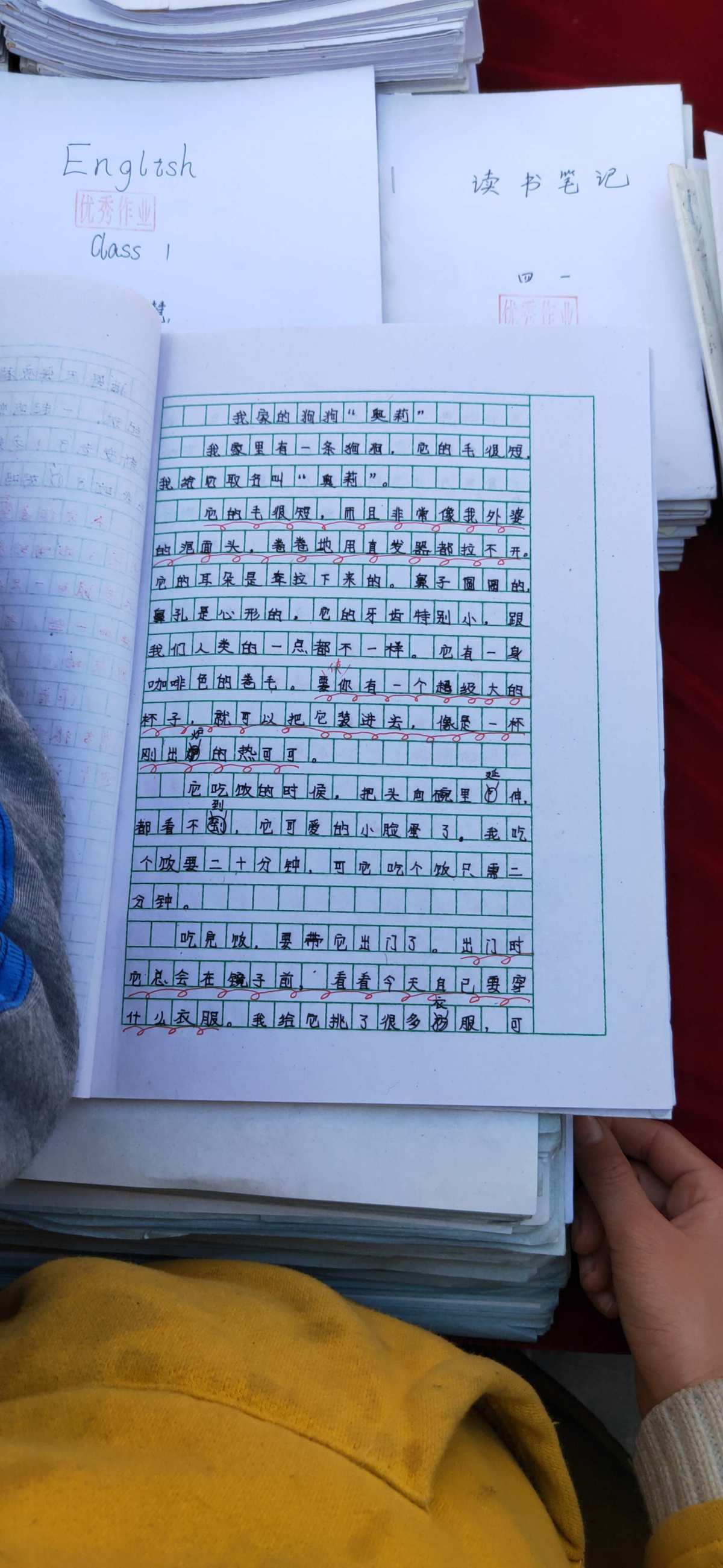 作业改错_作业改错软件_改作业
