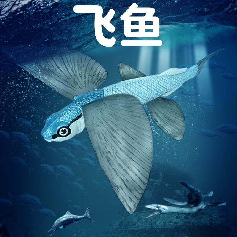 小说飞鱼殿下_飞鱼小说_小说飞鱼不懒