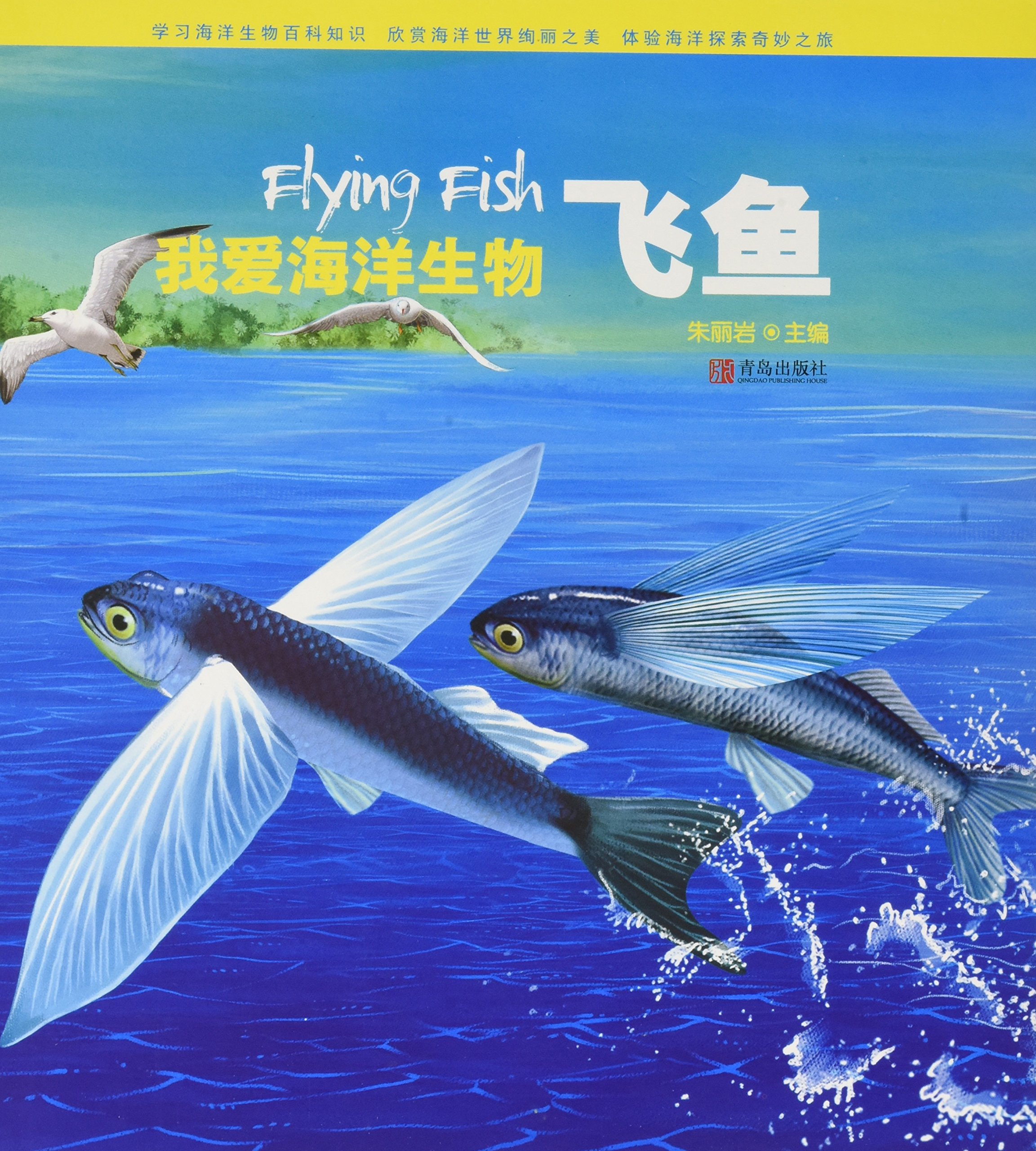 小说飞鱼不懒_飞鱼小说_小说飞鱼殿下