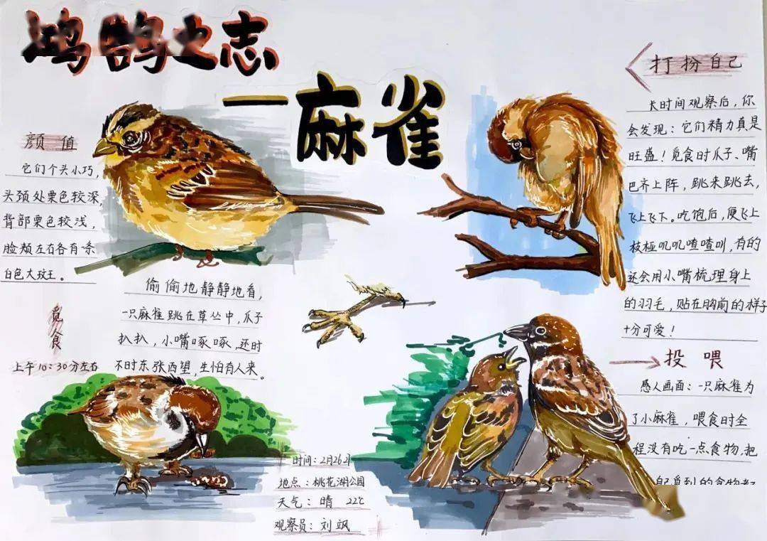木桑道长_木桑道长武功_木桑道长的师弟叫什么