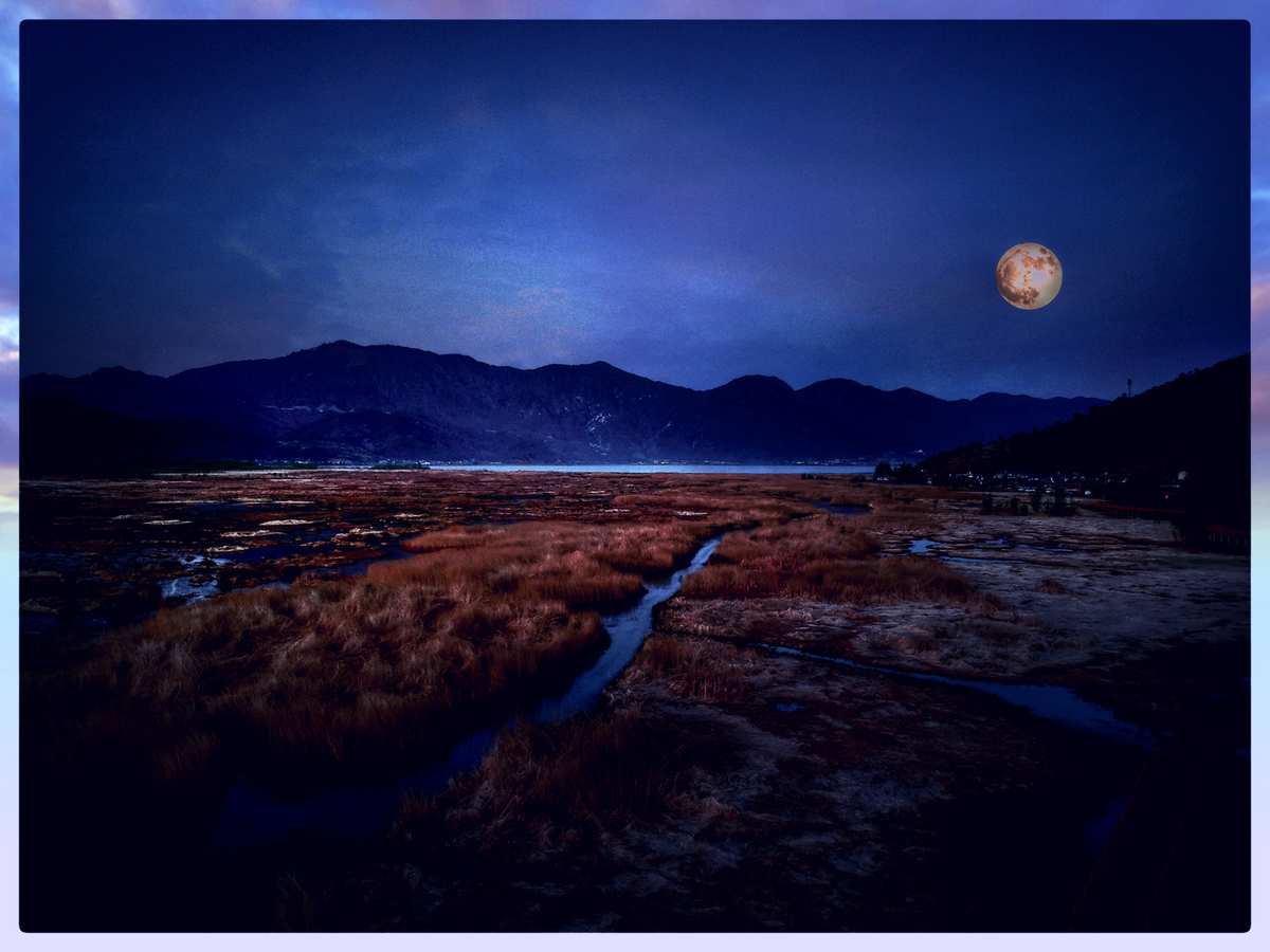 类似月夜响荡曲_月夜响荡曲攻略_月夜狂想曲