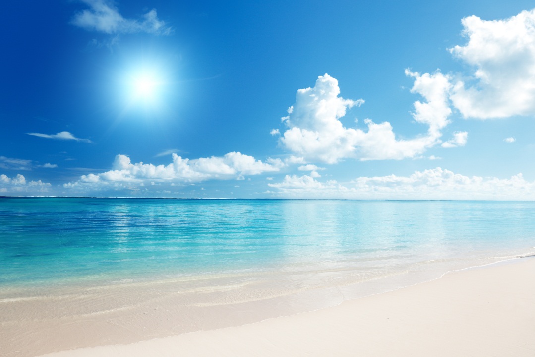 异国恋情浪漫谭_夏日恋情玫瑰的花语_夏日恋情