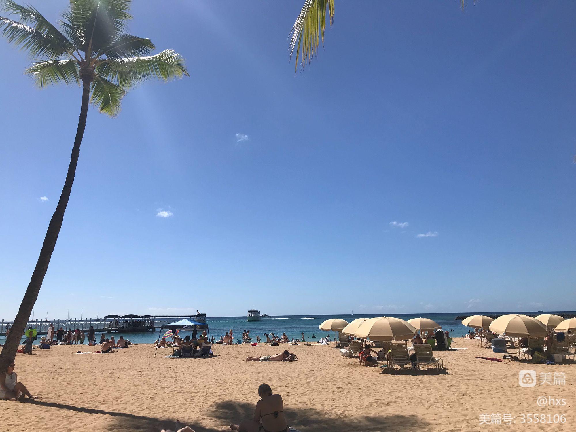 异国恋情浪漫谭_夏日恋情玫瑰的花语_夏日恋情