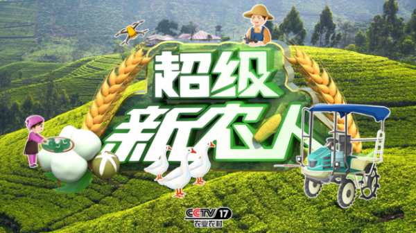 铁观音新茶价格_新茶图片_新茶tv